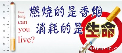 fmm1381.jpg